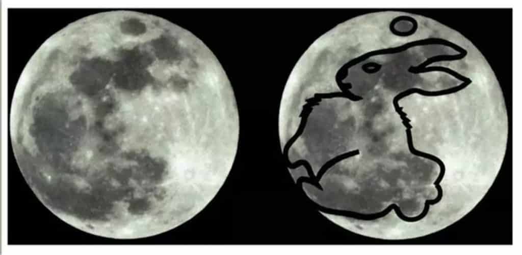 Why Is The Moon Rabbit On The Moon - Mooncake Festival