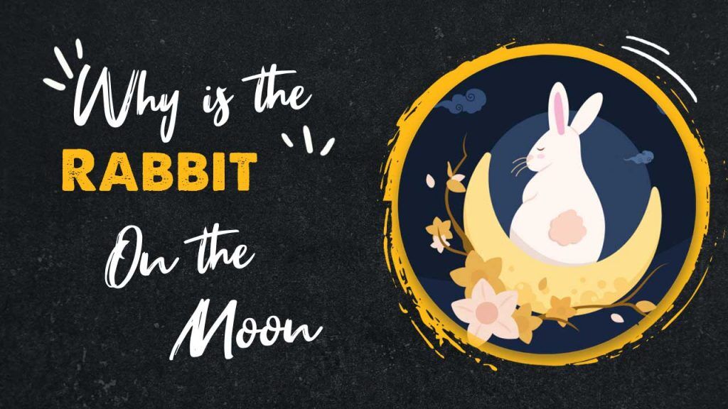 Why is the Moon Rabbit on the Moon - Mooncake Festival